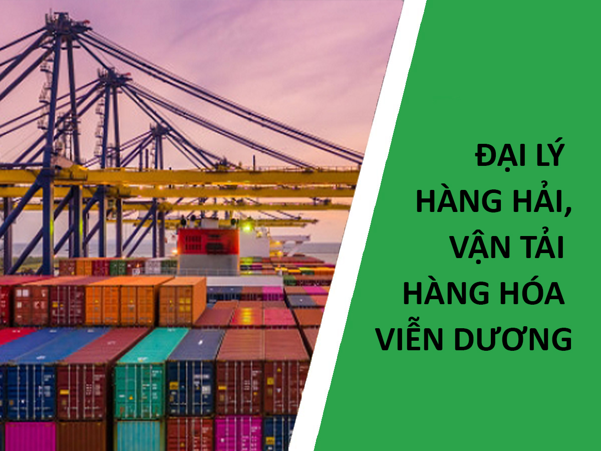 Dịch vụ đại lý hàng hải và vận tải hàng hóa viễn dương